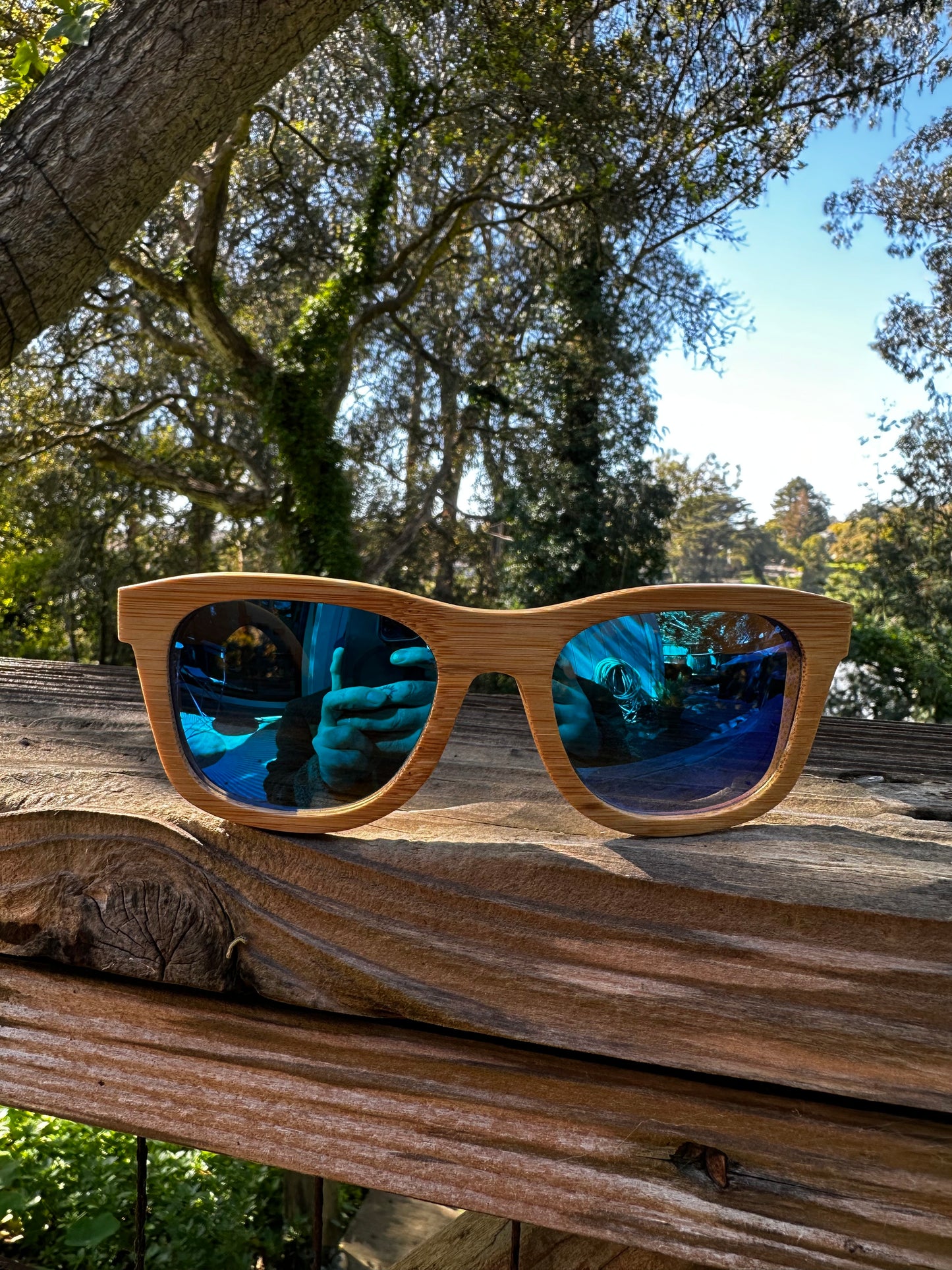Positive Legacy Sunnies