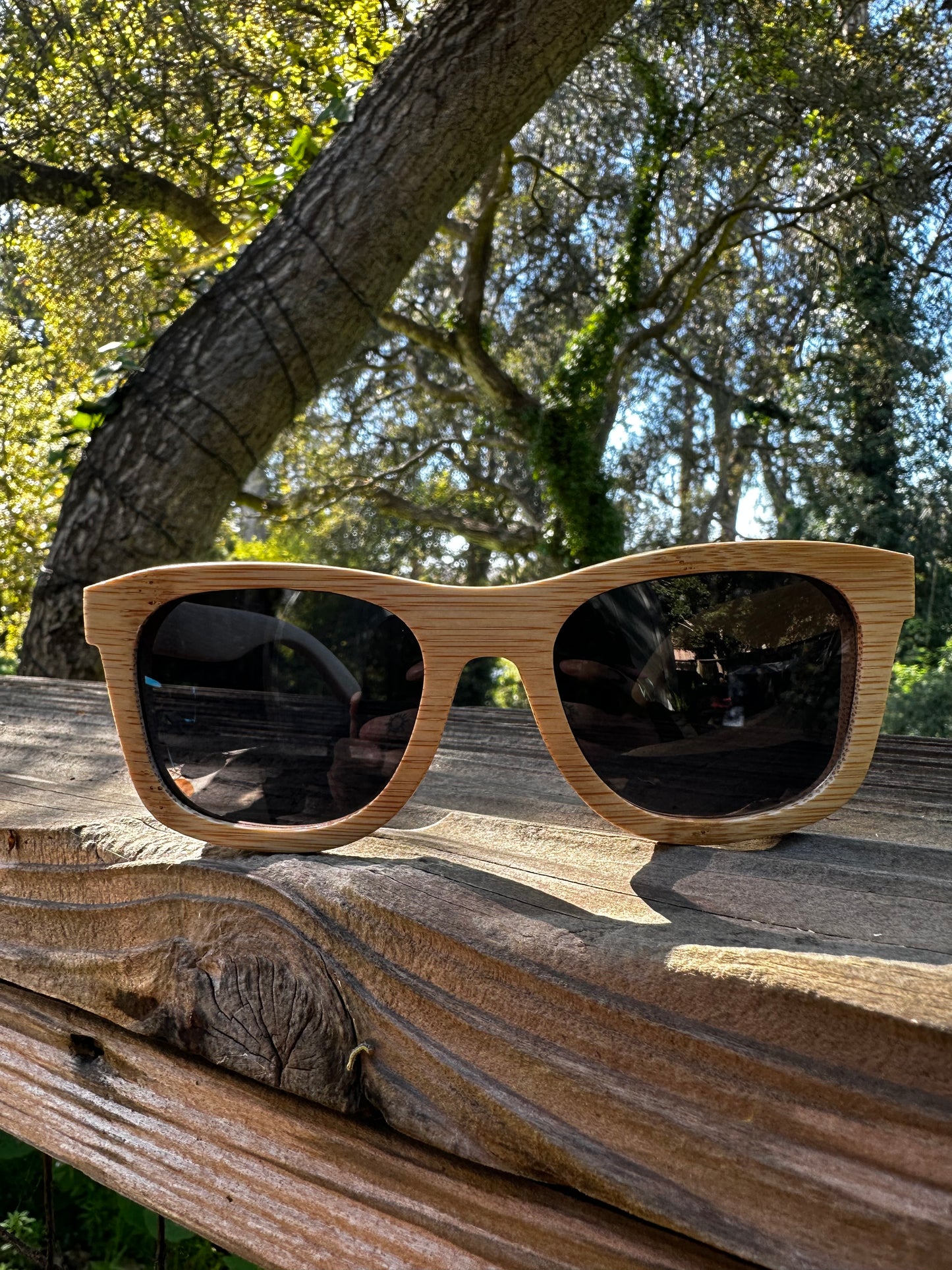 Positive Legacy Sunnies