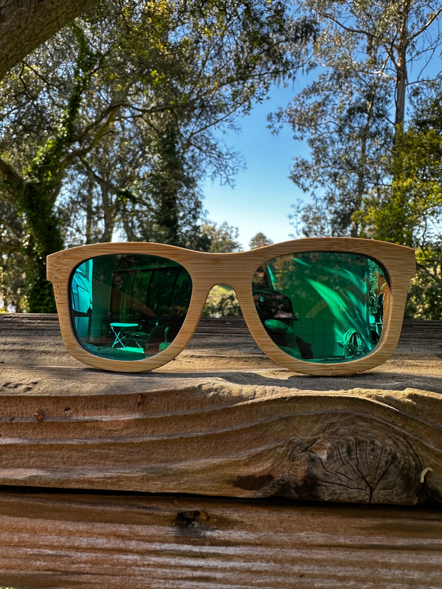 Positive Legacy Sunnies