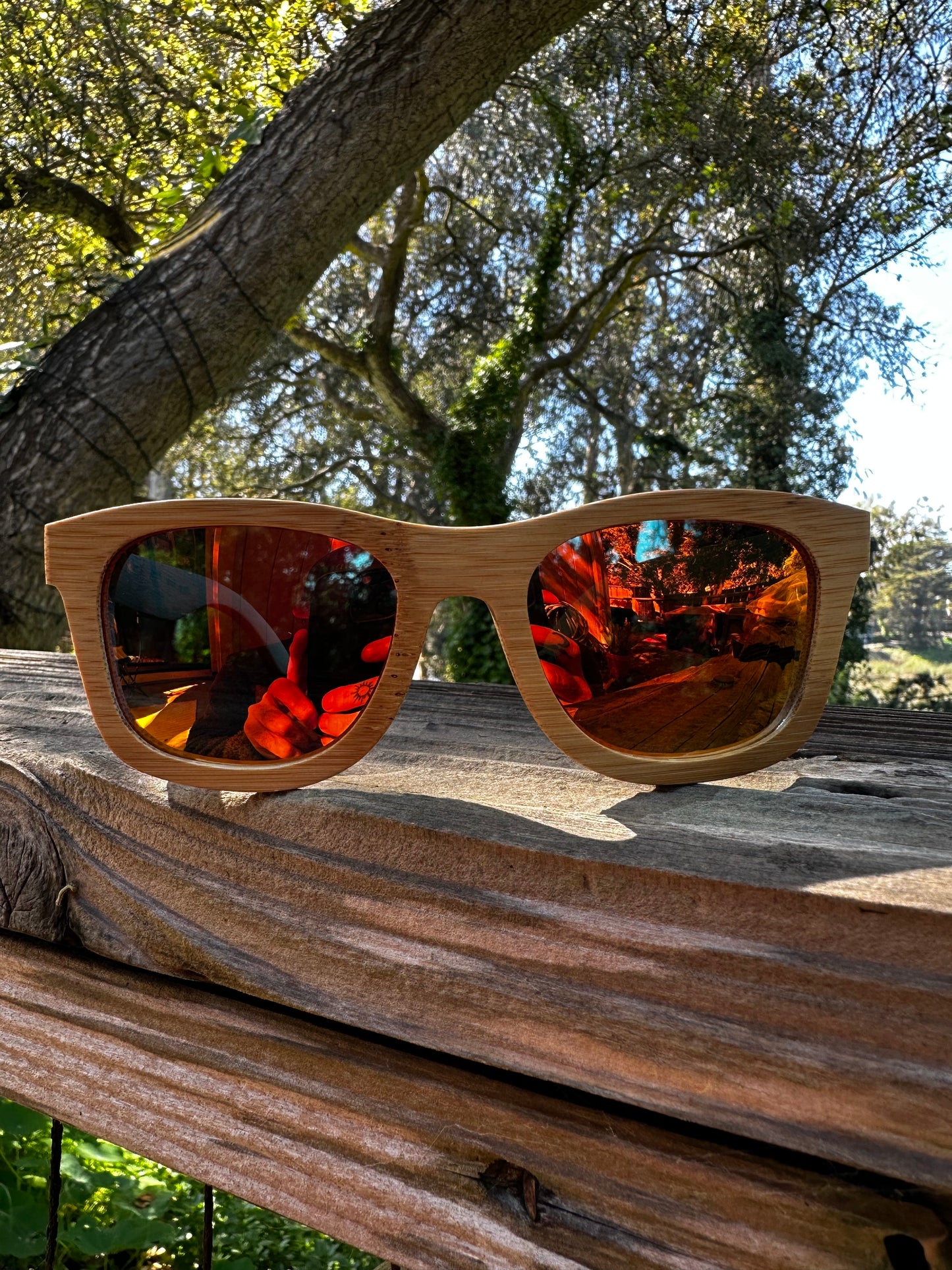 Positive Legacy Sunnies