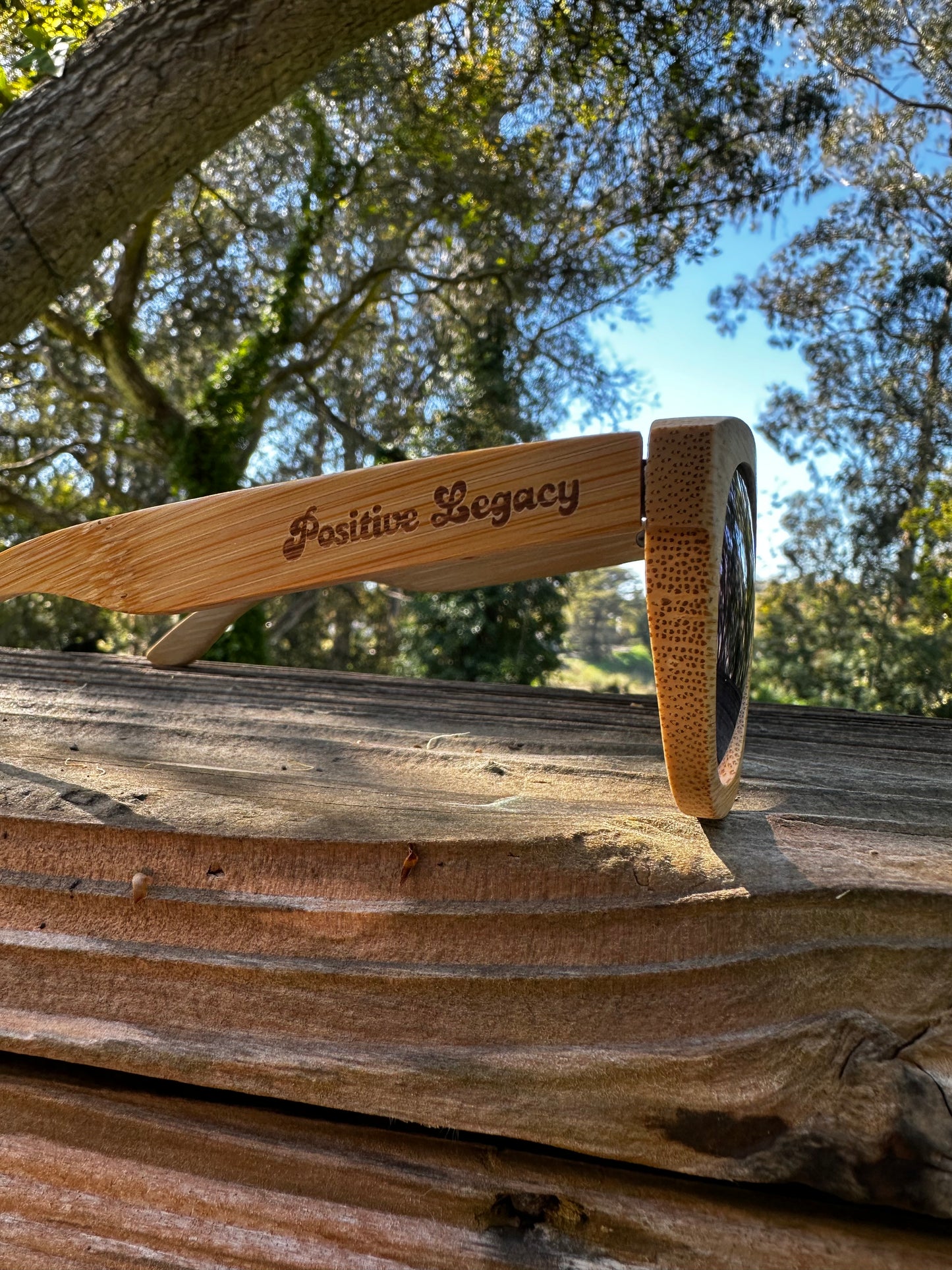 Positive Legacy Sunnies